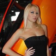 Amts Budapest 2012 Bild 18