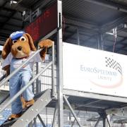 Redbull Airrace Lausitzring 2017 Bild 51