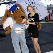 Superbike Lausitzring 2017 Sbk Gridgirls Bild 84