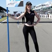 Wtcc Nuerburgring 2017 Bild 3