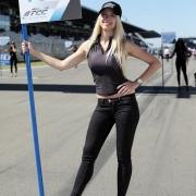 Wtcc Nuerburgring 2017 Bild 4